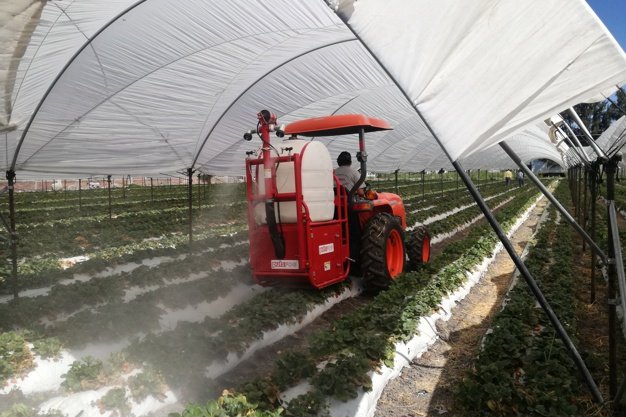 Protección de Cultivos